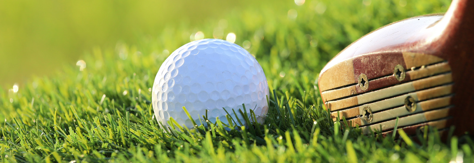 Headerafbeeldingen3