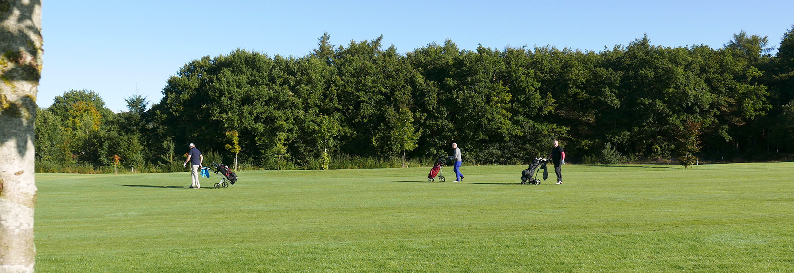 Headerafbeeldingen5